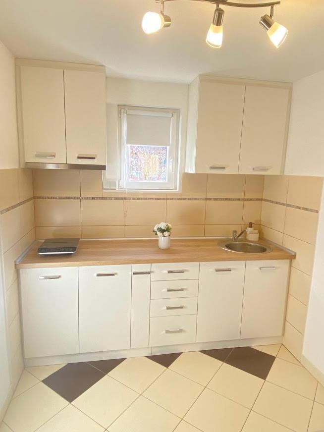 Apartman Mina Mataruska Banja Kültér fotó