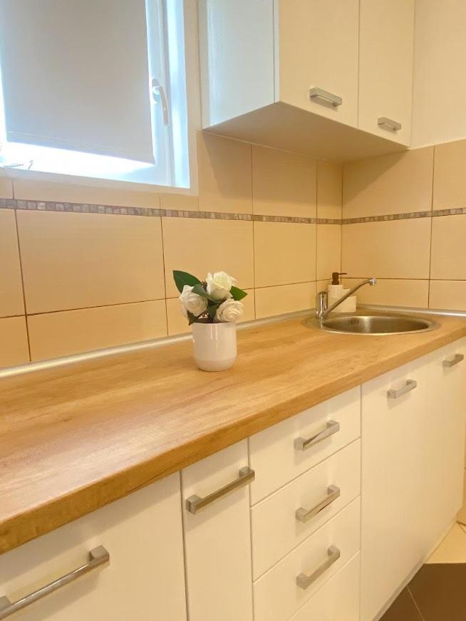 Apartman Mina Mataruska Banja Kültér fotó