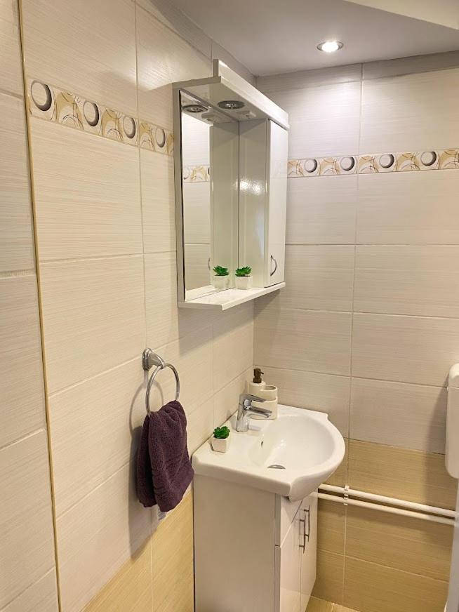 Apartman Mina Mataruska Banja Kültér fotó
