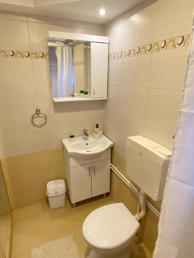 Apartman Mina Mataruska Banja Kültér fotó